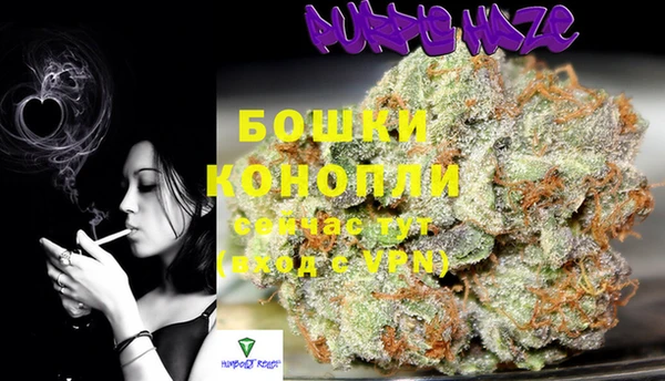 дмт Козельск