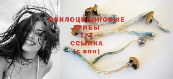 дмт Козельск