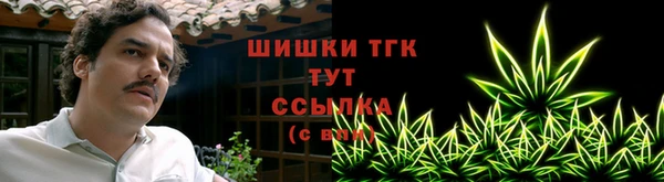 дмт Козельск