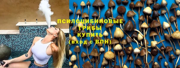 дмт Козельск