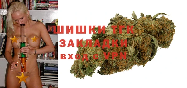 дмт Козельск